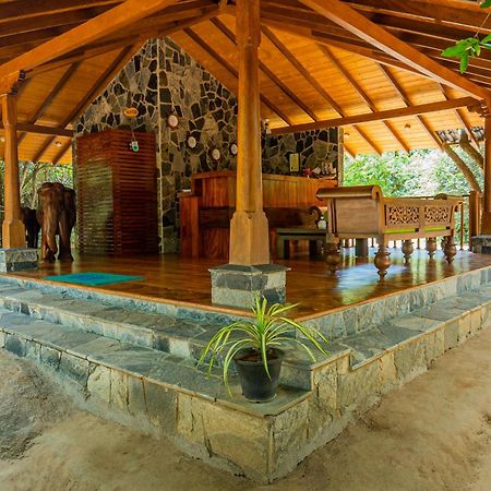 Leopard Reach Yala By Seven Angels Hotel Tissamaharama Exterior photo