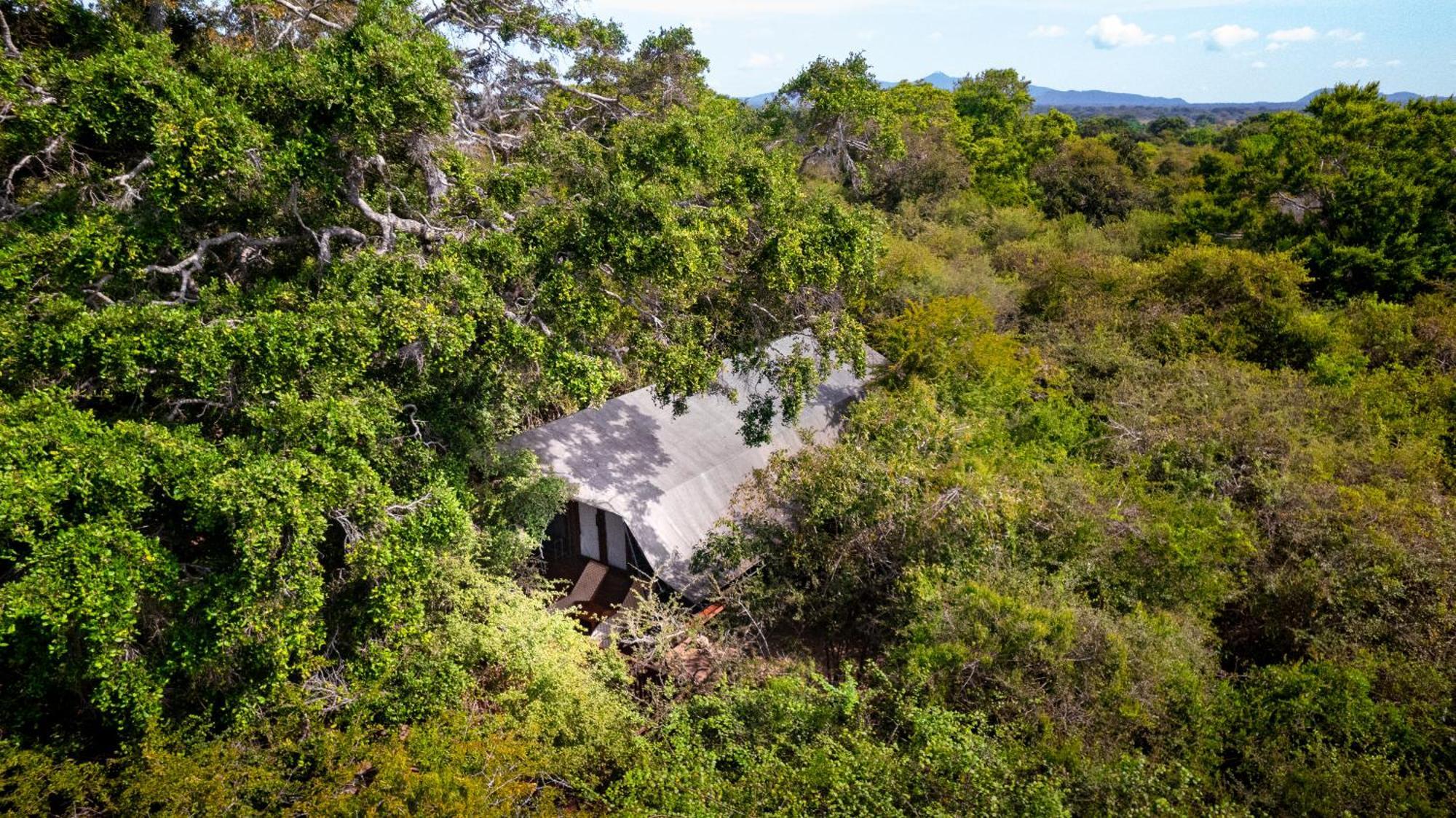 Leopard Reach Yala By Seven Angels Hotel Tissamaharama Exterior photo