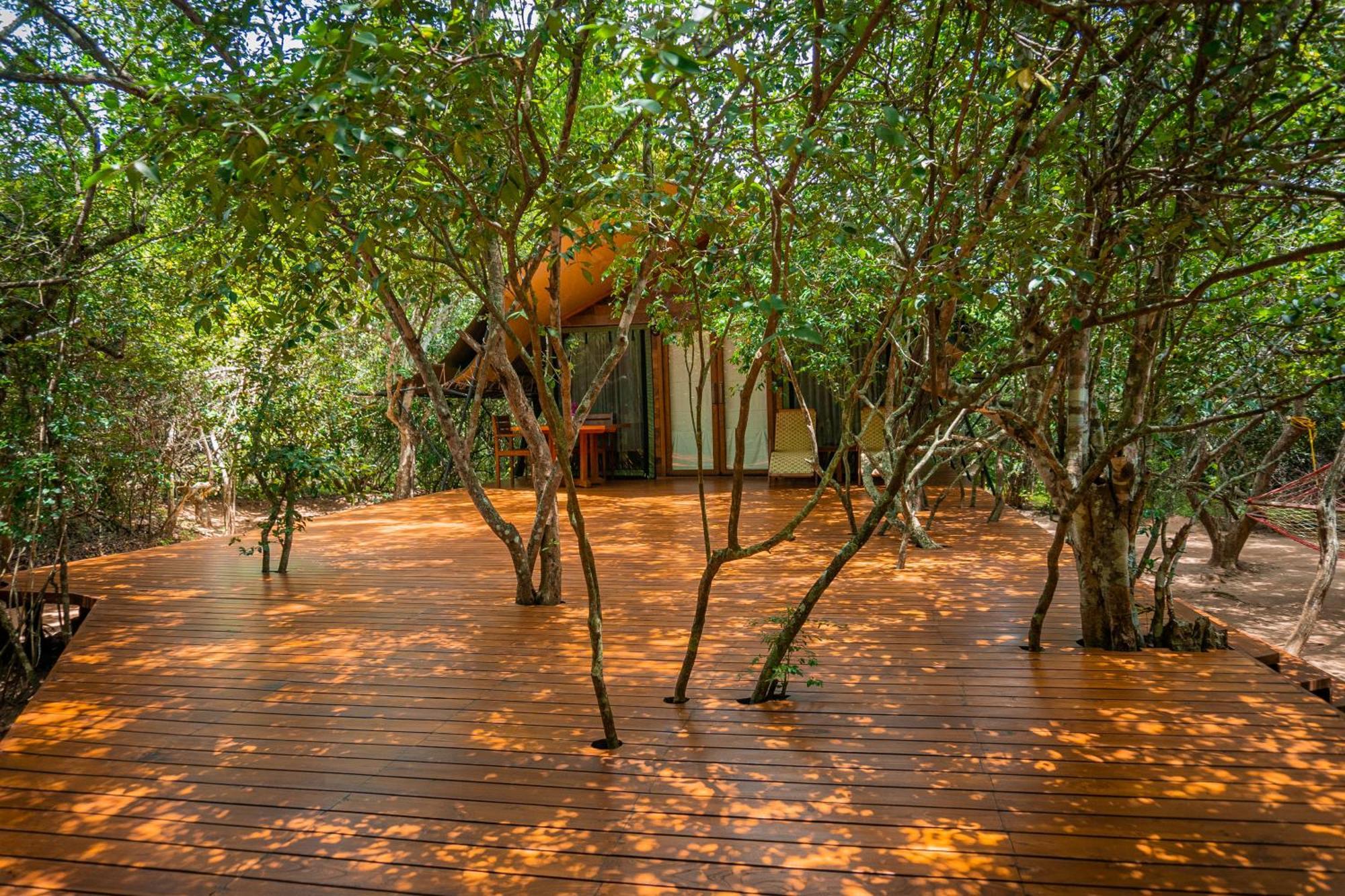 Leopard Reach Yala By Seven Angels Hotel Tissamaharama Exterior photo